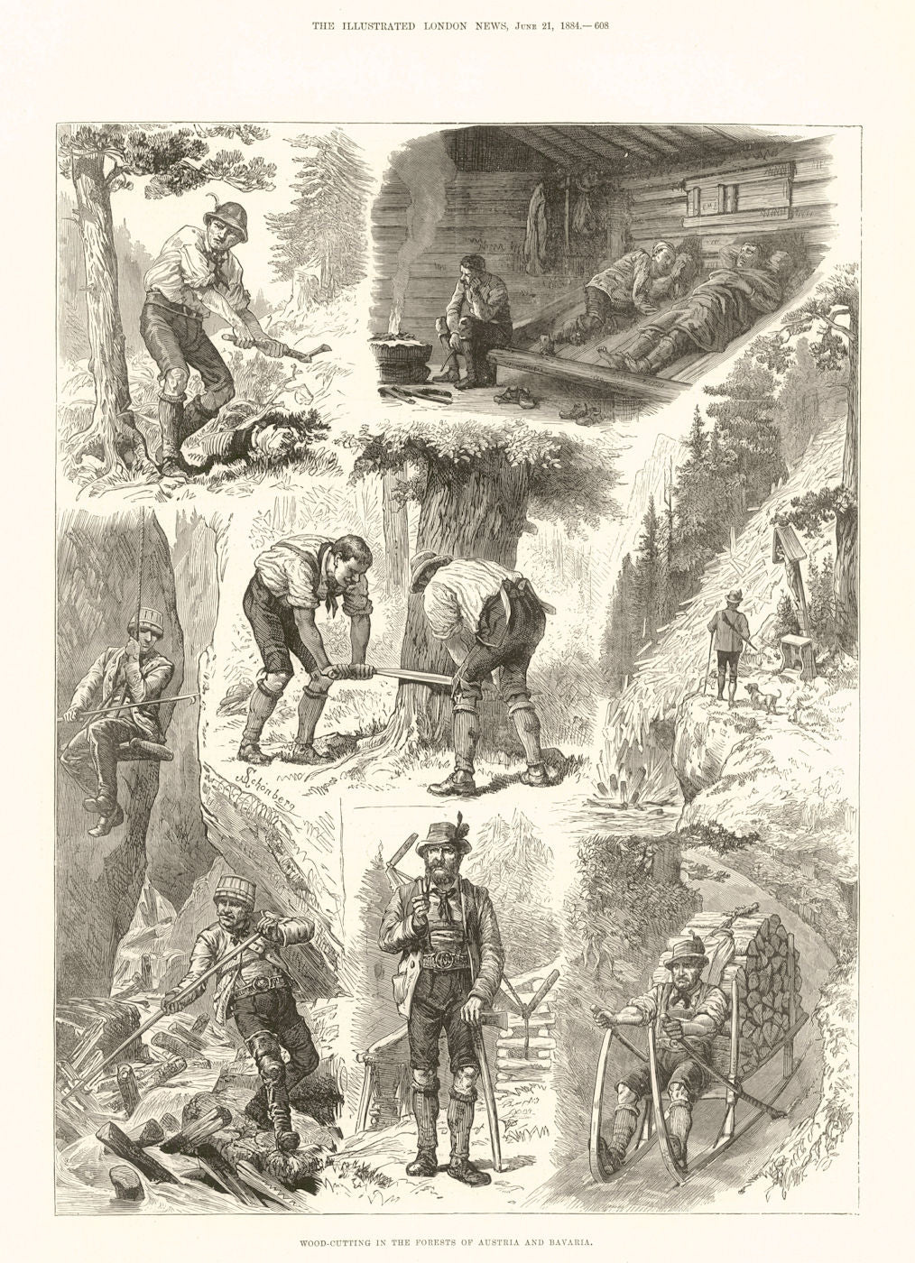 Wood cutting in the forests of Austria & Bavaria 1884 old antique print